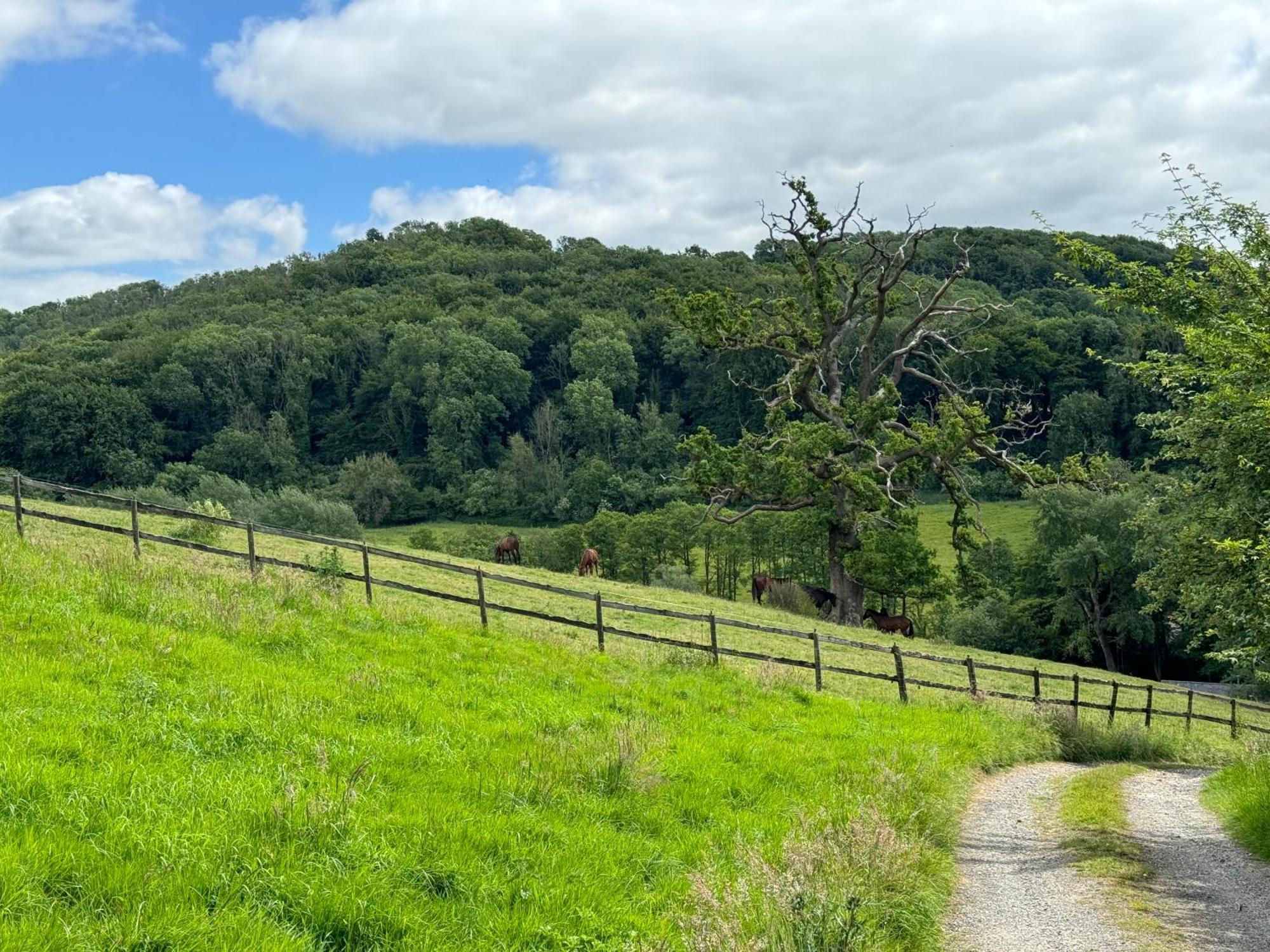 The Spring Slad Valley Cotswolds Painswick Kültér fotó